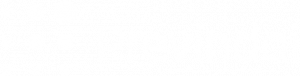 logo-white