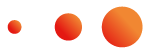 logo_dettaglio